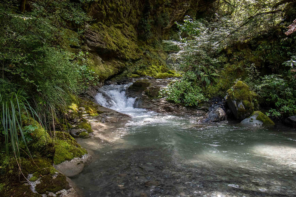 The General Canyon water check