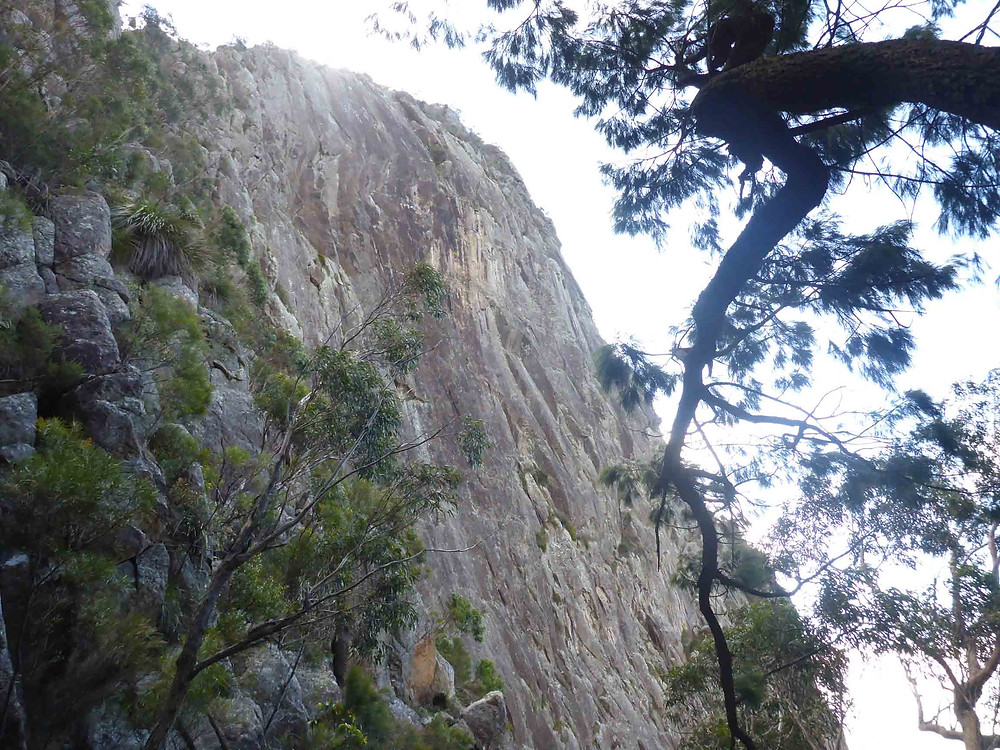 Mt Maroon face