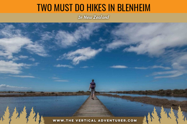 Two Must Do Hikes in Blenheim, New Zealand!