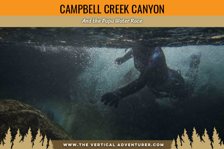 Campbell Creek Canyon and the Pupu Water Race