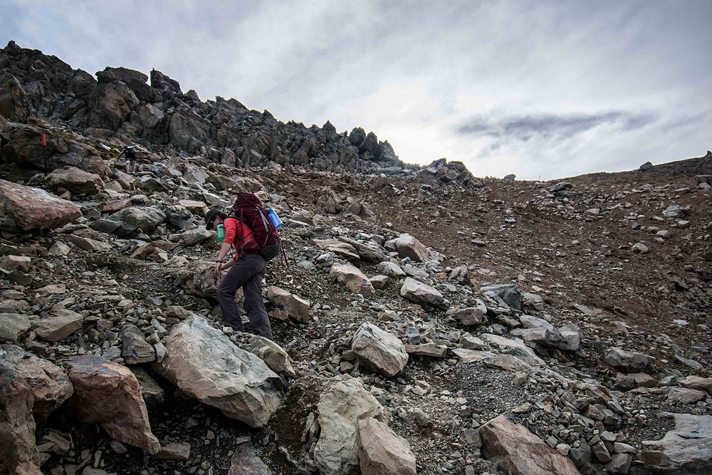 mueller hut hike up