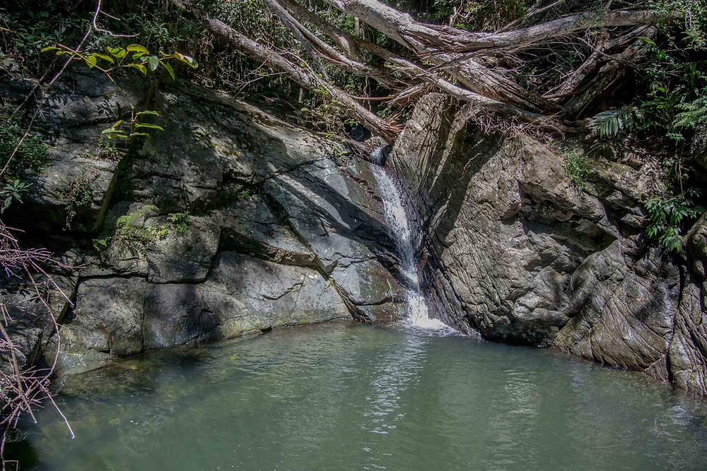 MILL RAIN FOREST SECRET SWIMMING HOLE