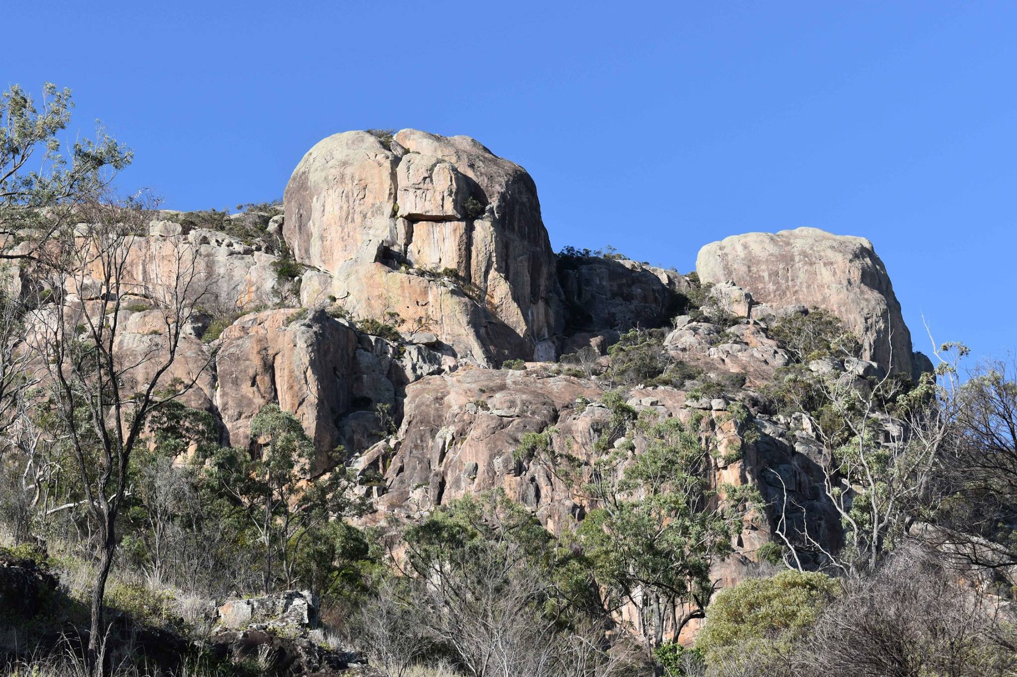 Mt Walsh