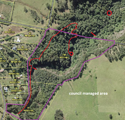 The Ultimate Brisbane Canyoning Guide Image 10