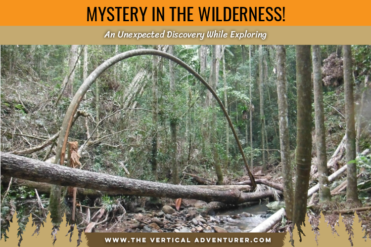 Mystery in the Wilderness! An Unexpected Discovery While Exploring