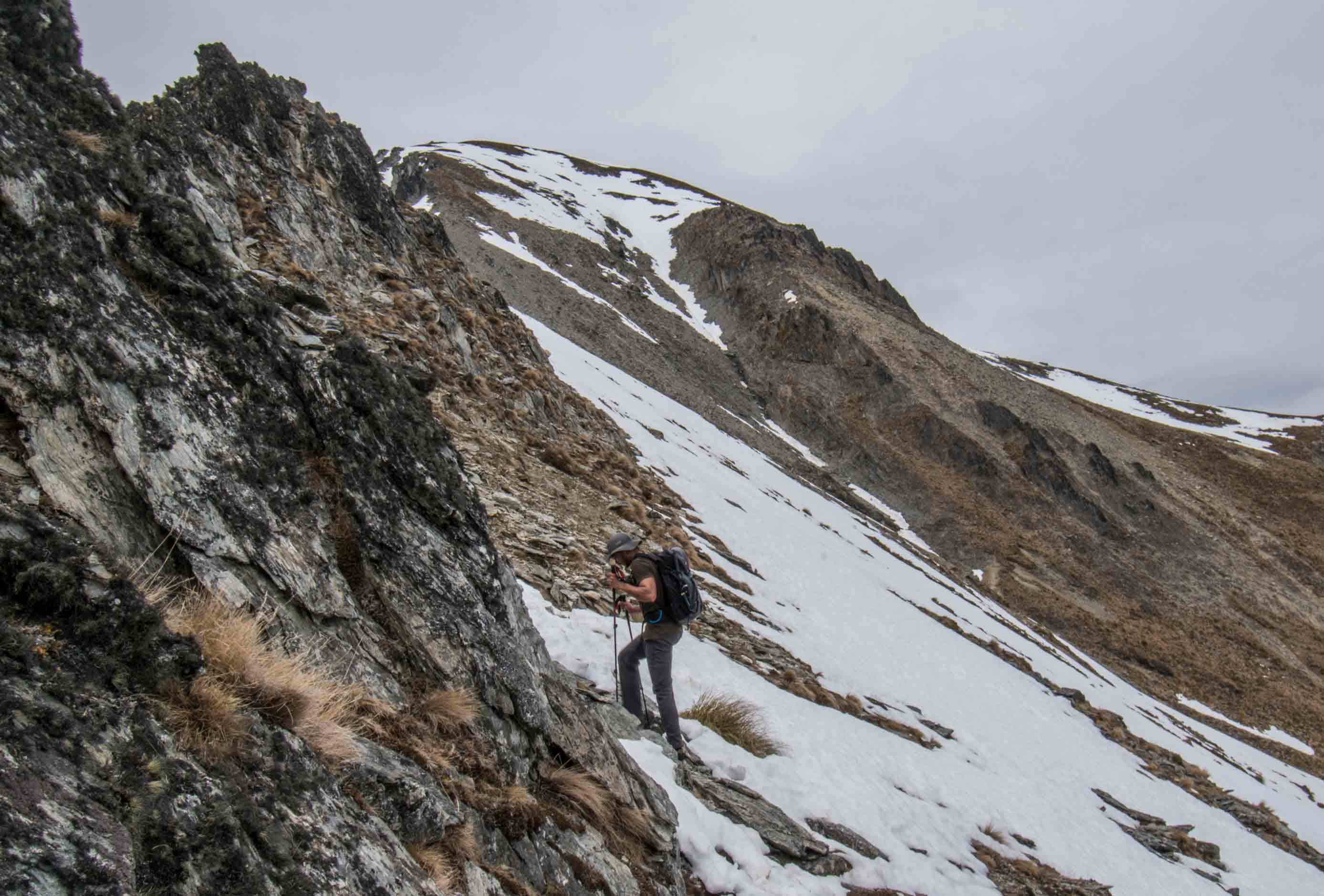 Hiking Mt Alaska in New Zealand