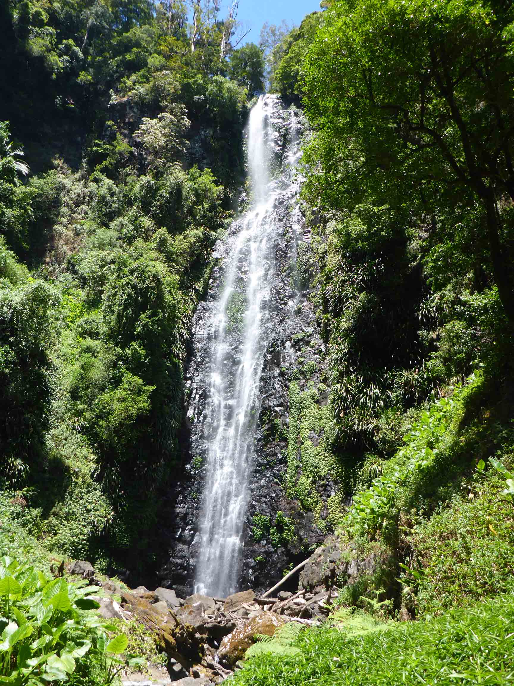 Larapinta Falls Lamington National Park