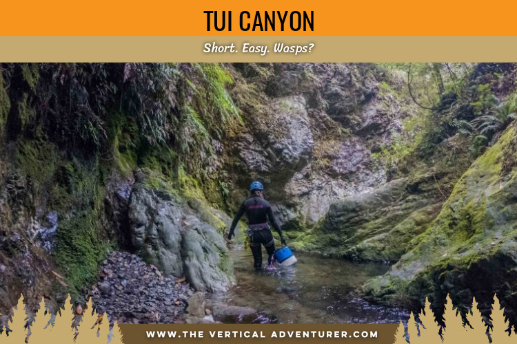 Tui Canyon. Short. Easy. Wasps?