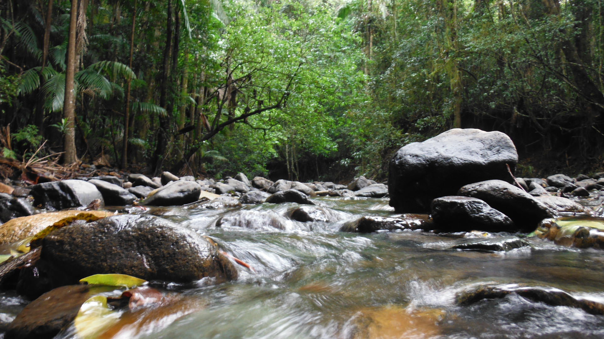 Mt Mee Australia