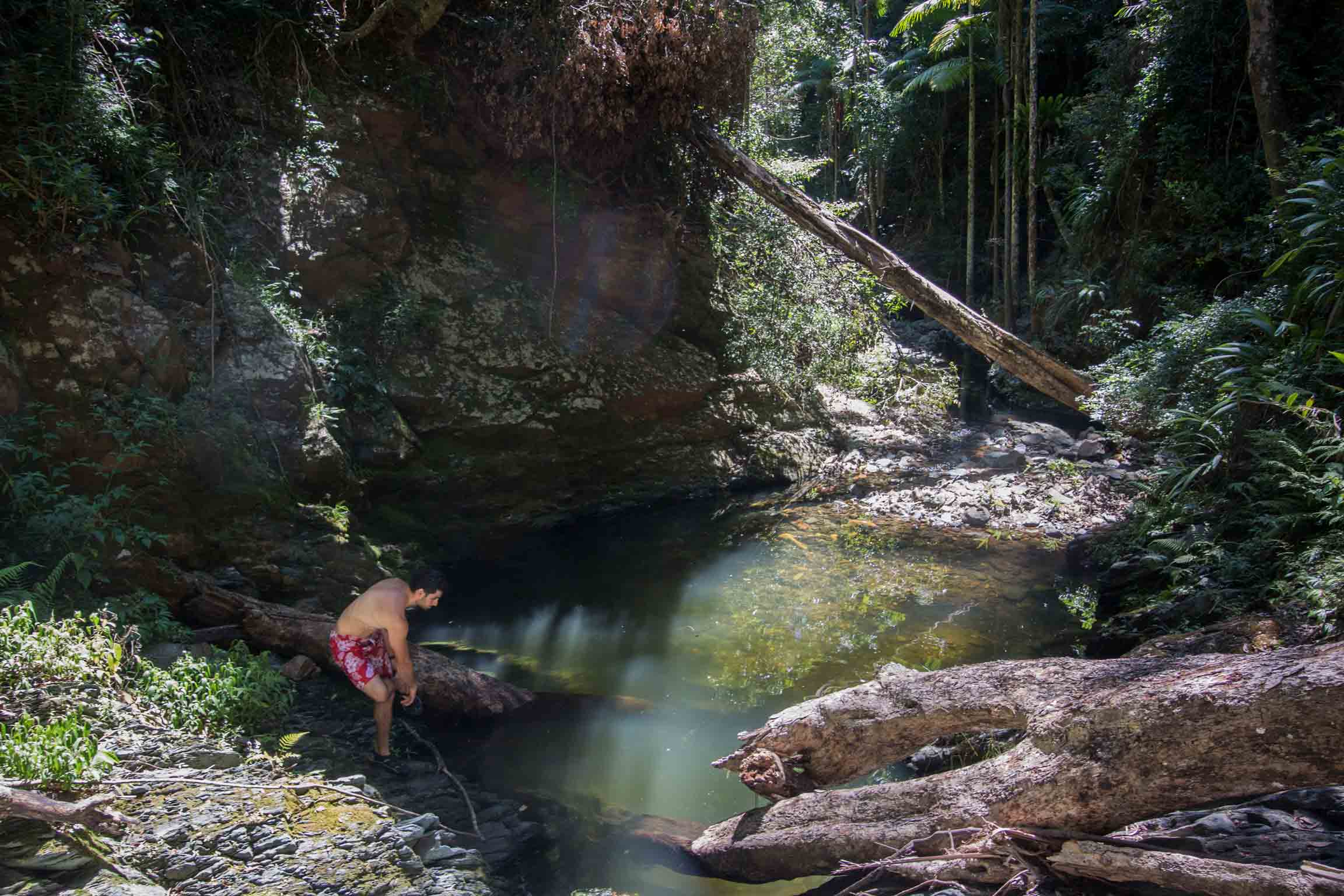 MILL RAIN FOREST SECRET SWIMMING HOLE