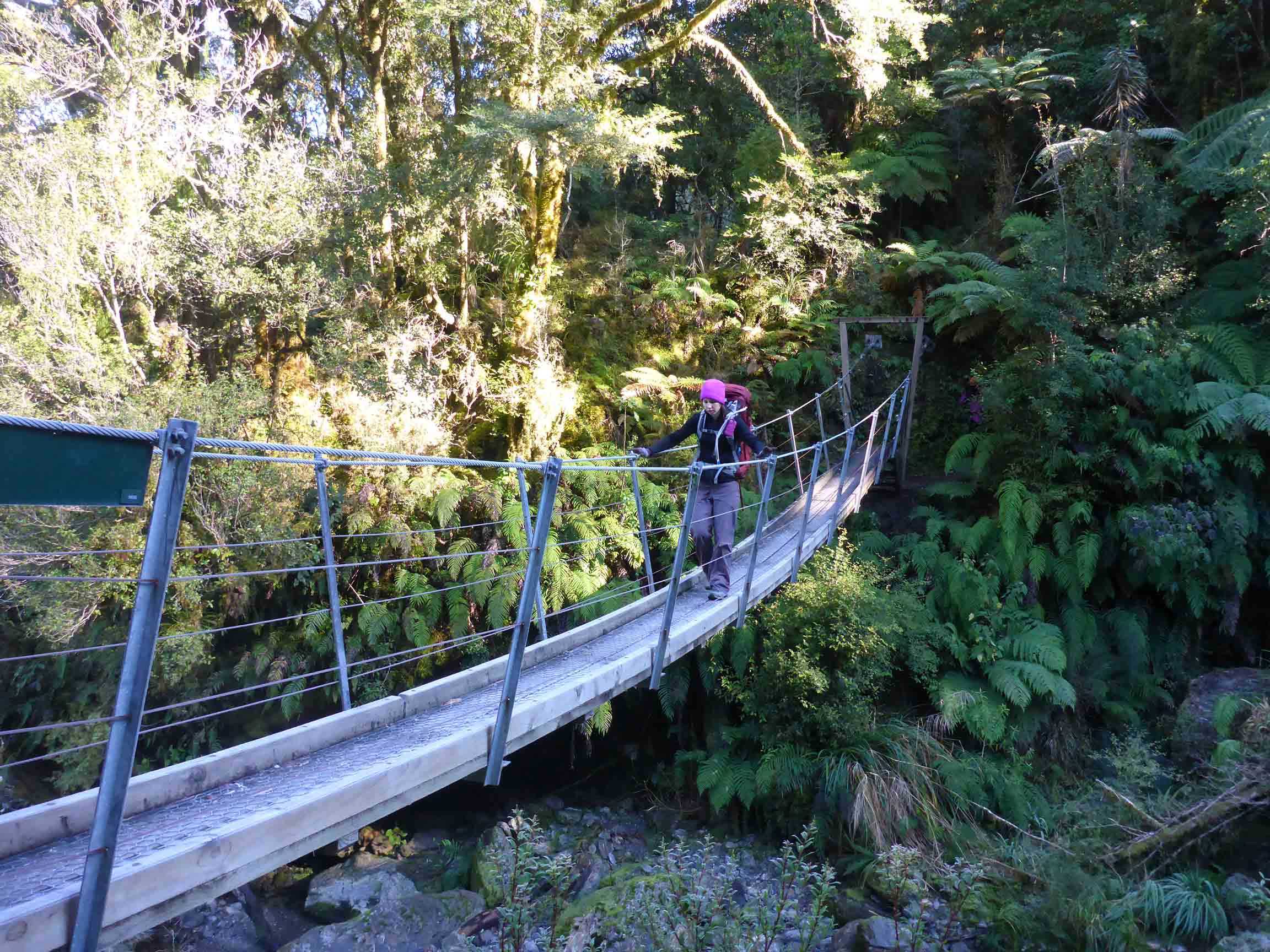NZ bridges