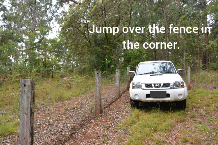 The Ultimate Brisbane Canyoning Guide Image 3