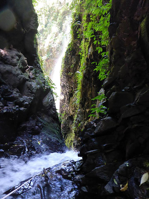 The Ultimate Brisbane Canyoning Guide Image 4