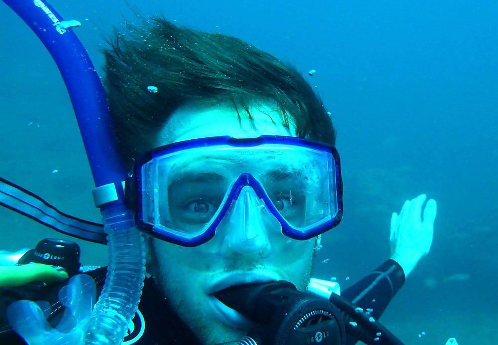 diving in